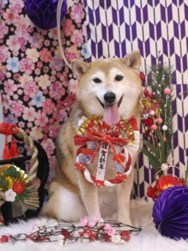 20250128こはるちゃん